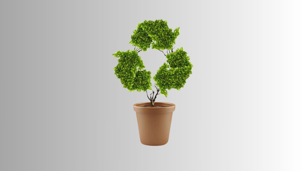 Infusões naturais, agora em embalagens sustentáveis!