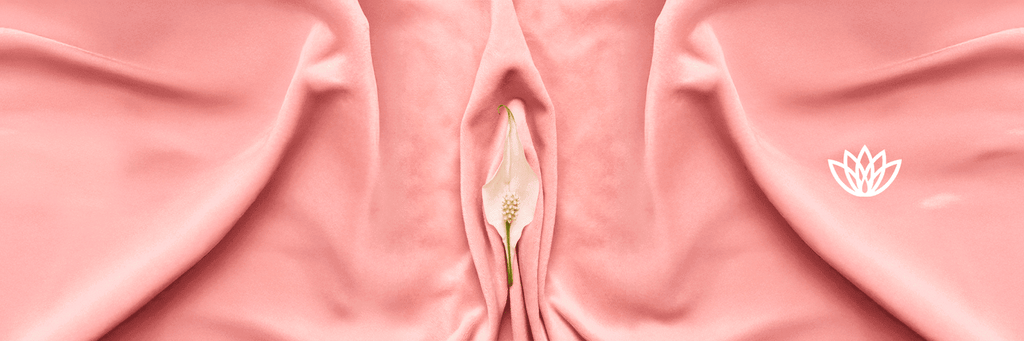 Cuidados Íntimos Femininos Naturais e Económicos