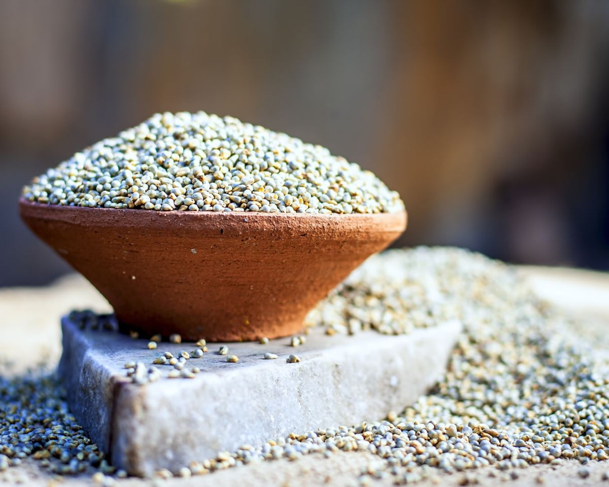 Massango – Nutriboty Angola
