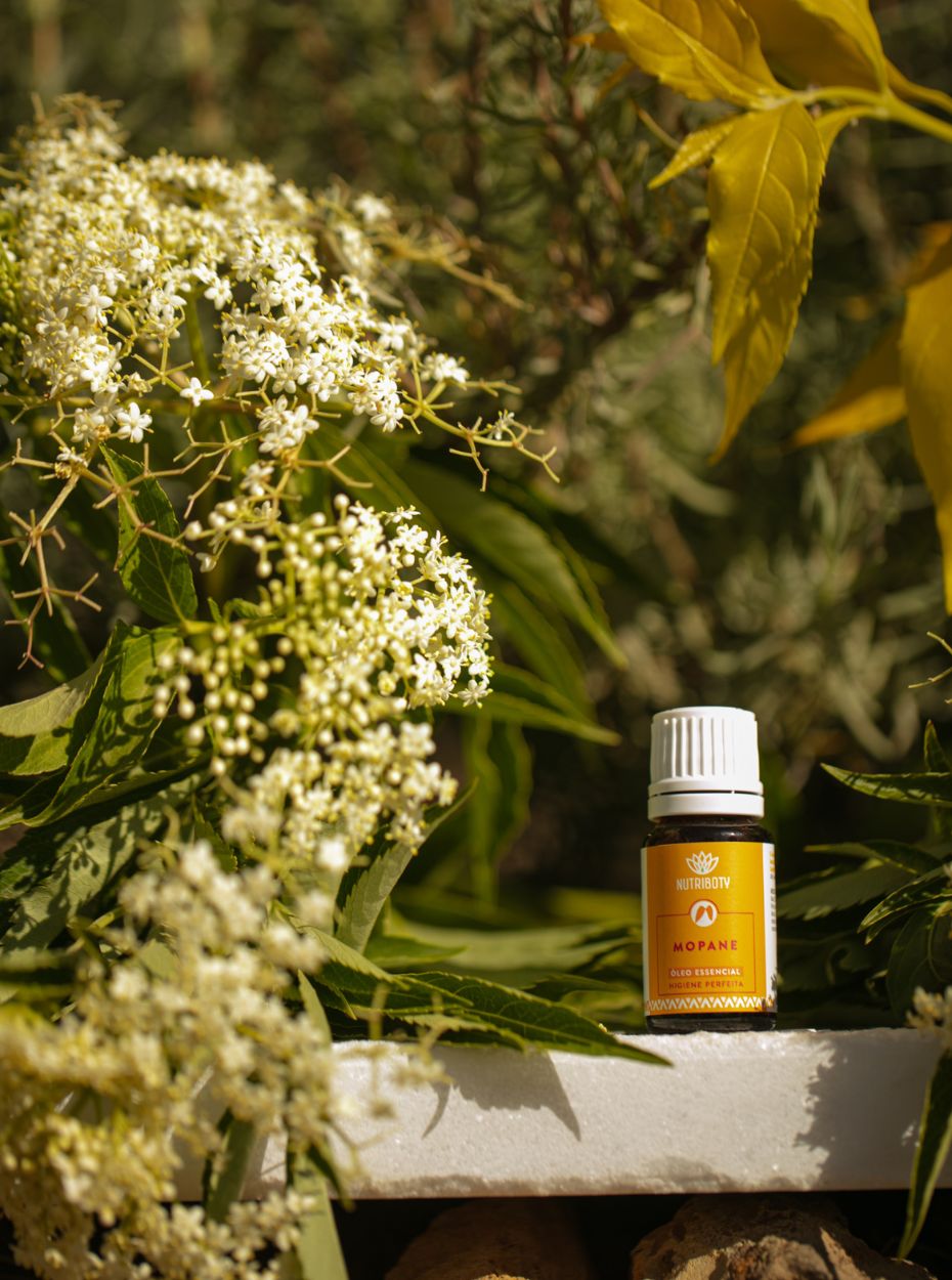 O Óleo Essencial de Mopane da Nutriboty, 100% natural e sustentável, tem um aroma envolvente e herbal bem como propriedades antifúngicas, antibacterianas e antisépticas. Contribui para prevenir, aliviar e controlar diversos males do dia-a-dia. Melhore o seu bem-estar e beneficie das vantagens da aromaterapia com os nossos óleos essenciais!
